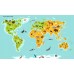 Sihirli Kağıt Dünya Haritası Buzlu Kağıt Üzerine Renkli Baskı Hayvan Sembollü 185x114cm