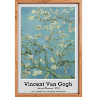 Magic Paper Poster - World Famous-8 Blossoming Almond Trees - Static Cling - No Gluing Required 50x70cm