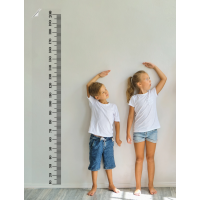 PraticPaperBoard Height Meter 30x200cm