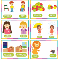 Magic Paper Opposite Concepts English 50x70cm 24-Pack