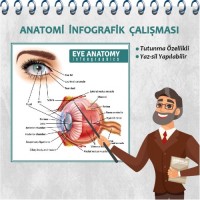 Magic Paper Eye Anatomy Transparent 50x50cm