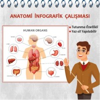 Sihirli Kağıt İç Organlar Anatomi 100x100cm