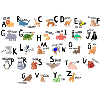 Sihirli Kağıt Resimli Türkçe Alfabe Statik Tutunma Özellikli Yapıştırma Gerektirmez 100x70cm